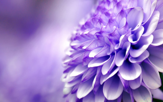 851492 (a): :1920x1200